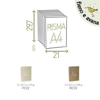 CARTONCINO AVANA 300 GR / FIENO 275 GR - A4