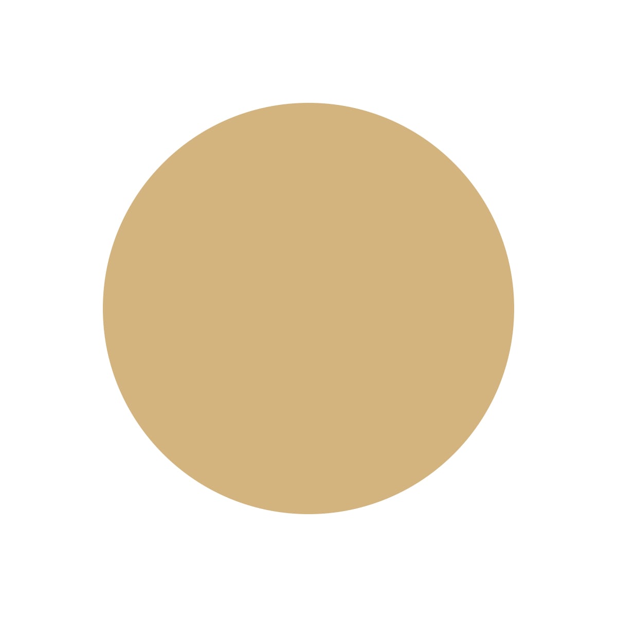 Scopri la palette kraft