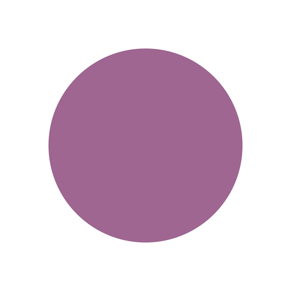 Scopri la palette lilla