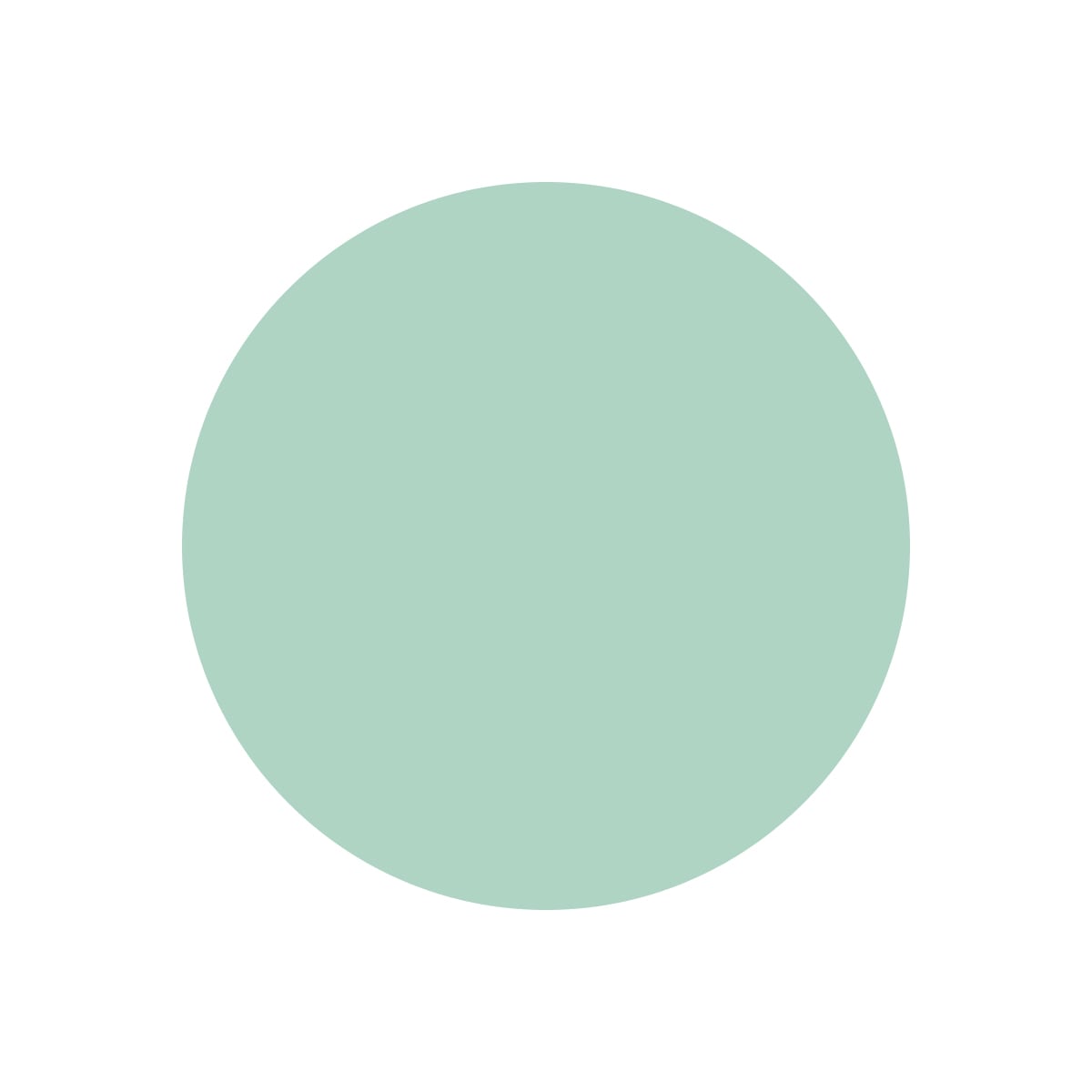 Scopri la palette verde chiaro