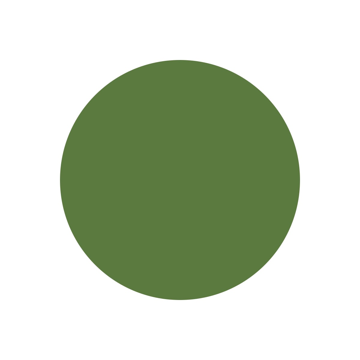 Scopri la palette verde