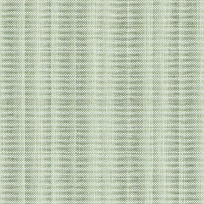 Ocean algue
